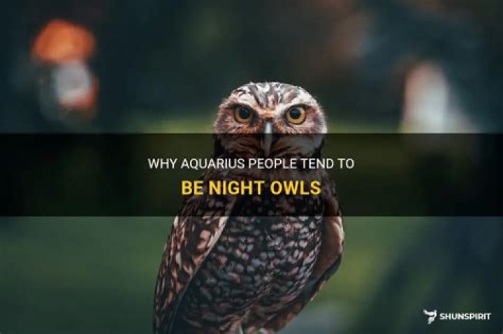 Are Aquarius night owls?