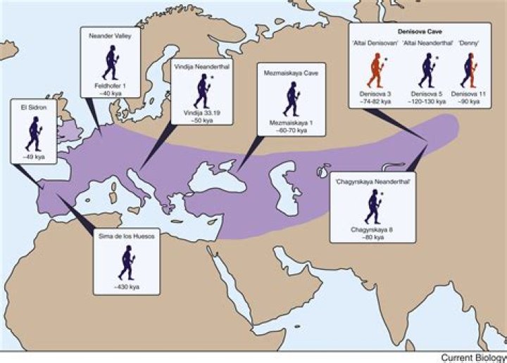 Are the Udam Neanderthals?