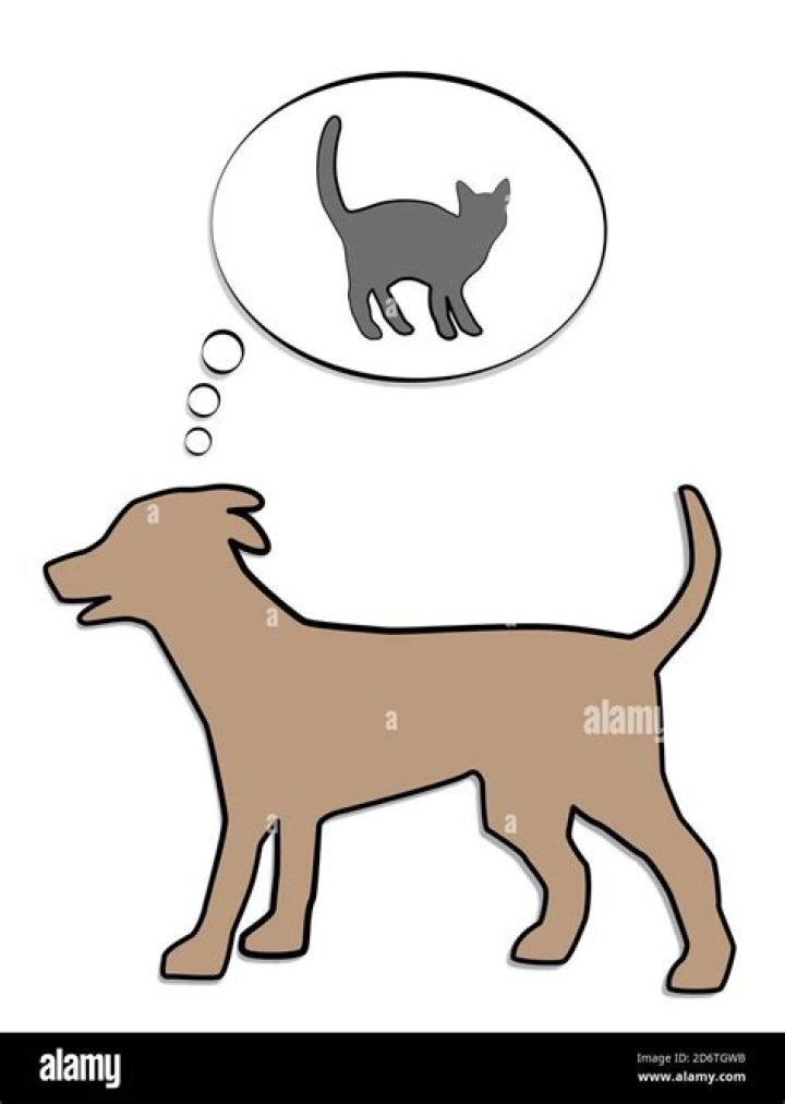 Can a dog think?