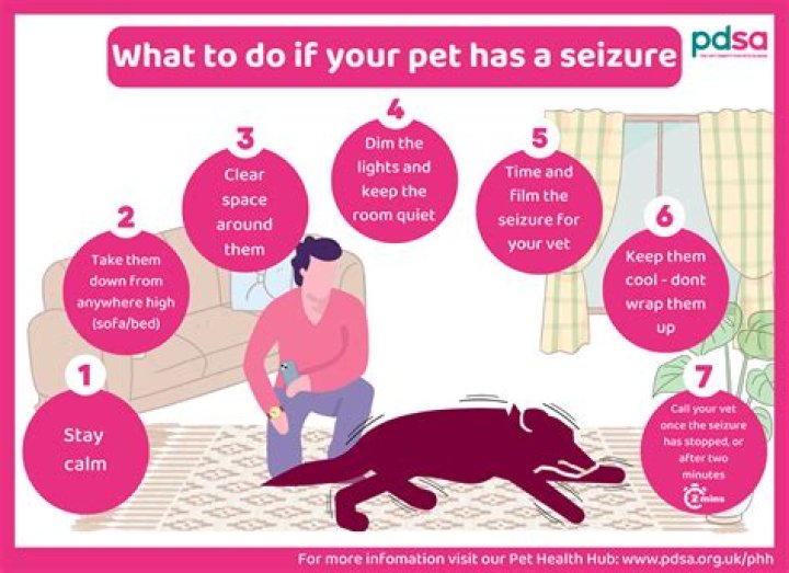 Can a seizure change your personality?