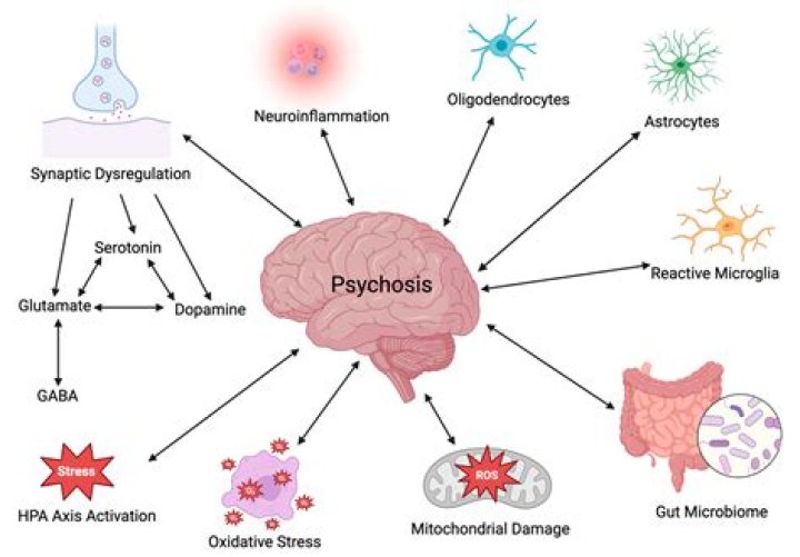 Can bupropion cause psychosis?