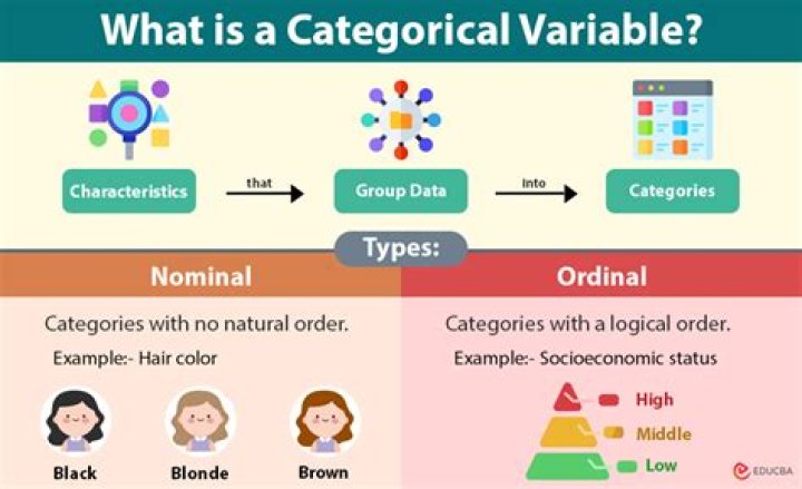 Can categorical variables be numbers?