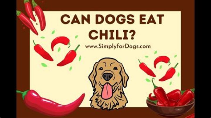 Can dogs eat chili?