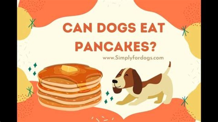 Can dogs eat pancakes?