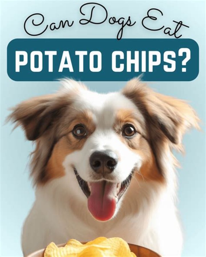 Can dogs eat potato chips?