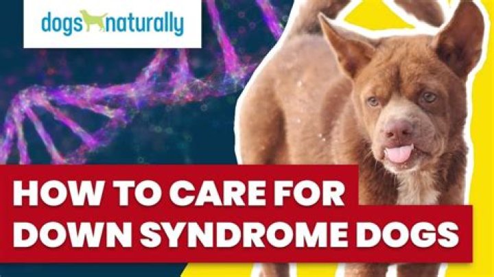 Can dogs have Down's syndrome?