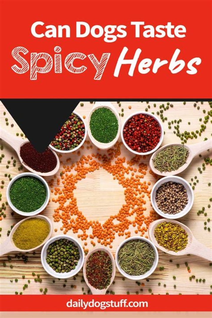 Can dogs taste spicy?