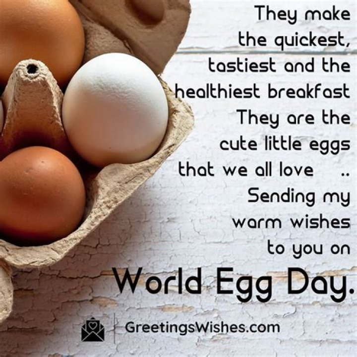 Can I give my dog one egg a day?