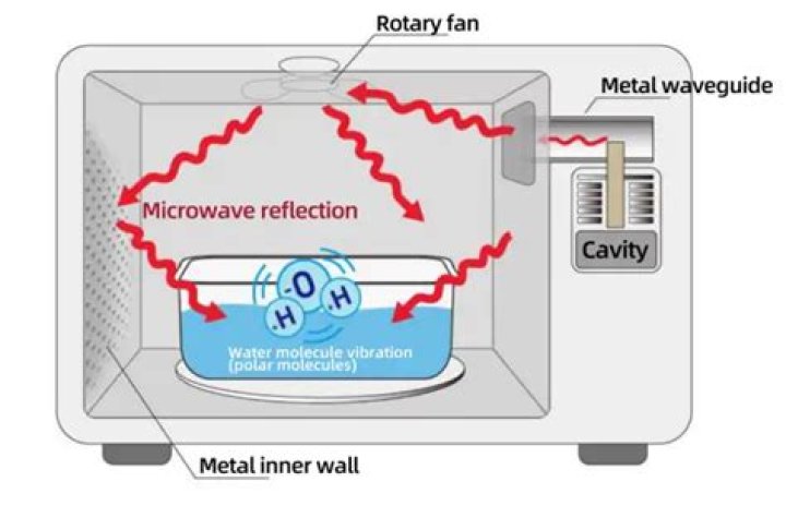 Can mice get in microwaves?