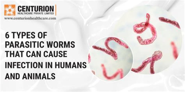 Can parasites go away on their own?