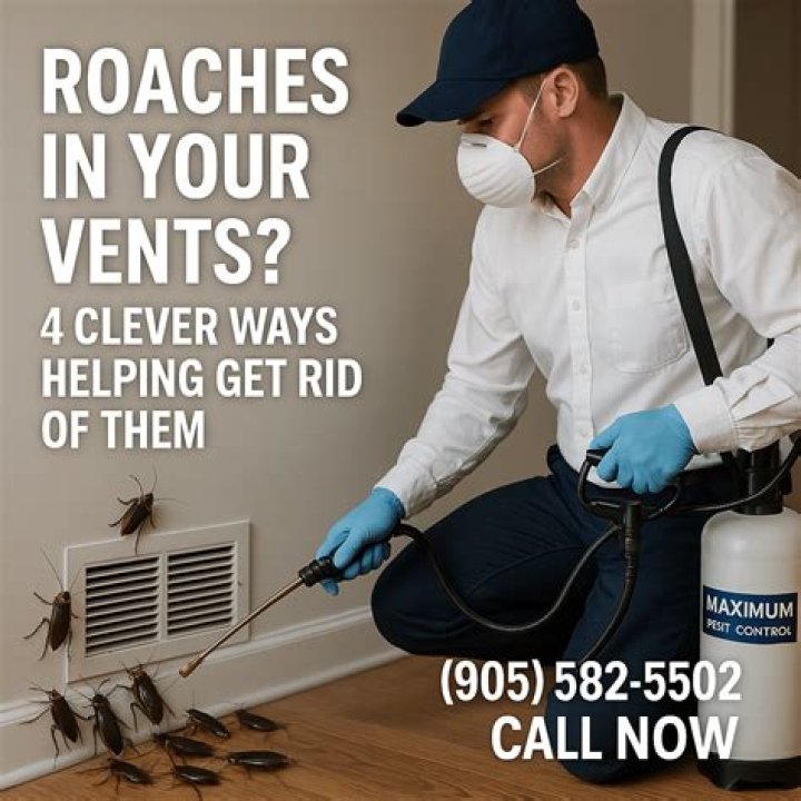 Can roaches come through vents?