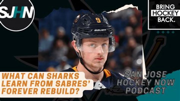 Can sharks feel fear?