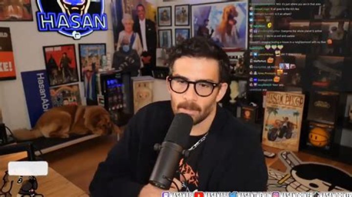 Can Tasing a dog kill it?