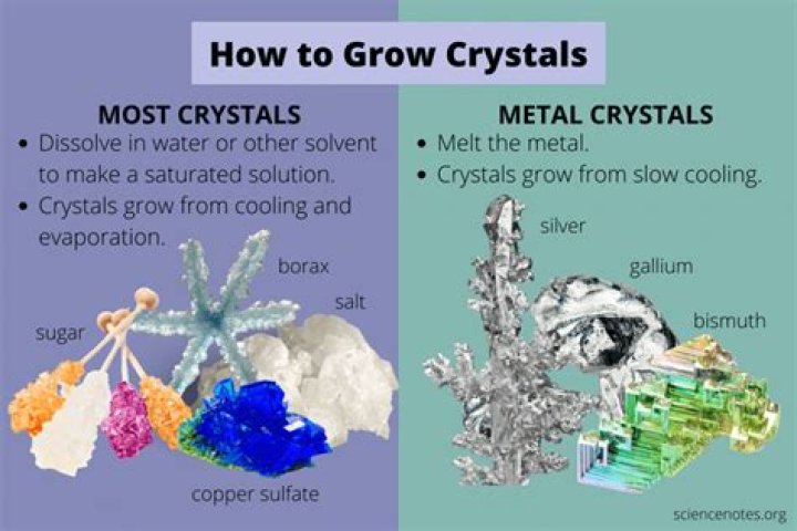 Can you grow borax crystals on rocks?
