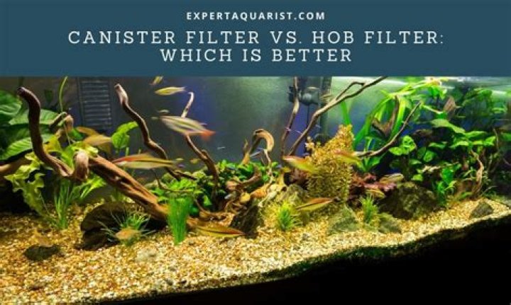 Can you over filter a fish tank?
