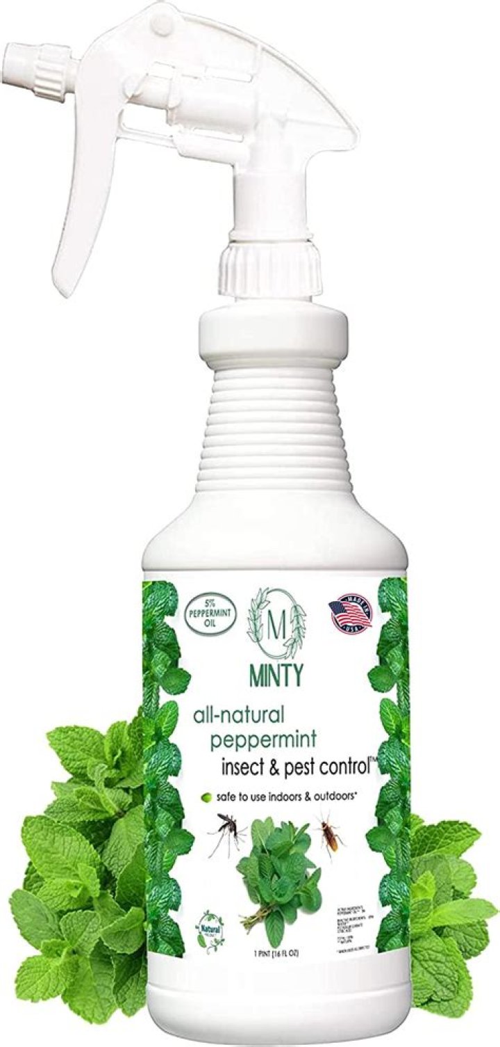 Can you spray too much peppermint oil?