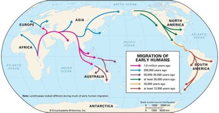 Did all humans come from Africa?