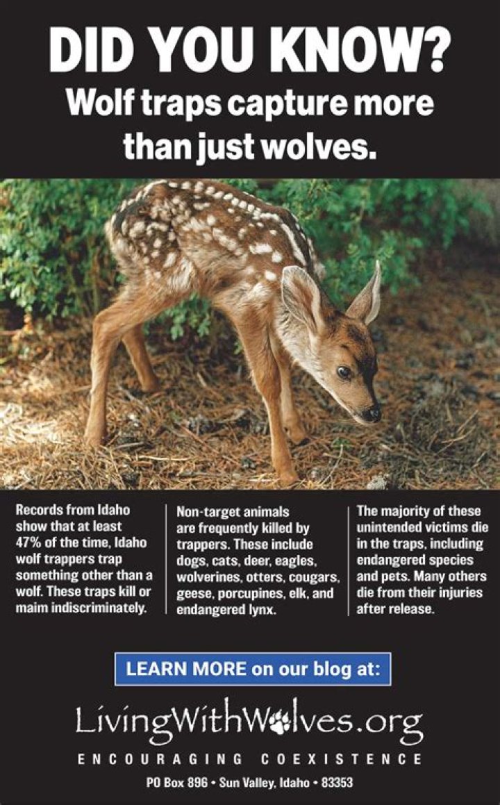 Do animals know when they are dying?
