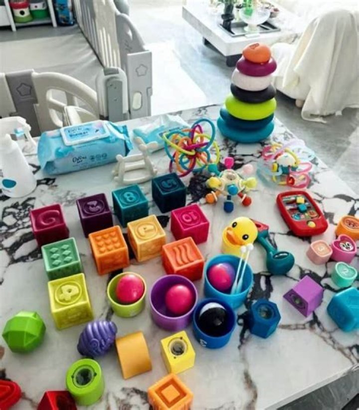 Do fish need toys?