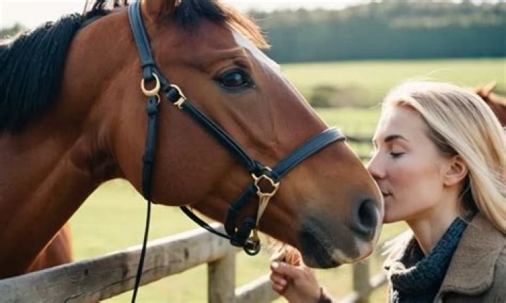 Do horses like when you pet them?