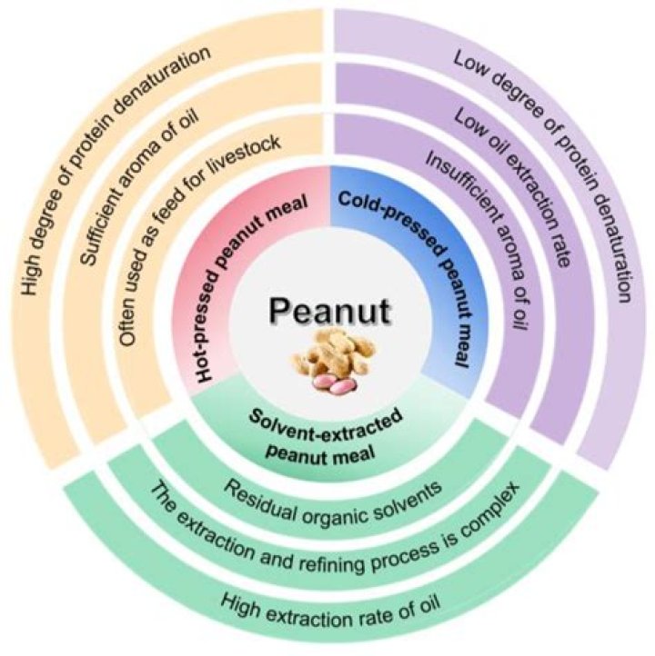 Do peanuts increase sperm?
