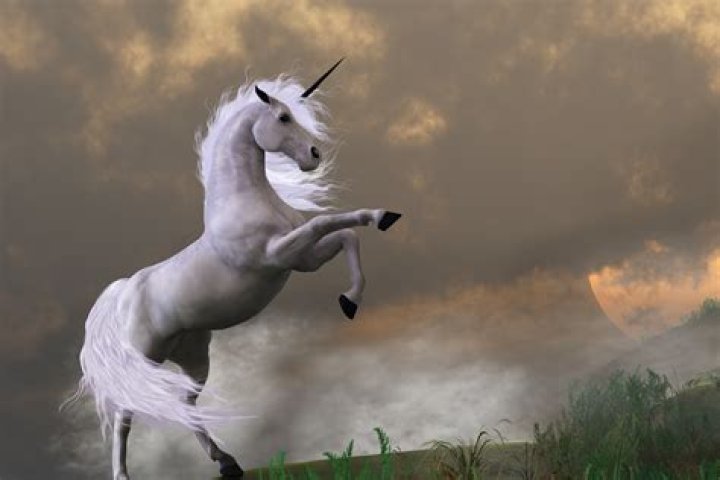 Do unicorns really exist?