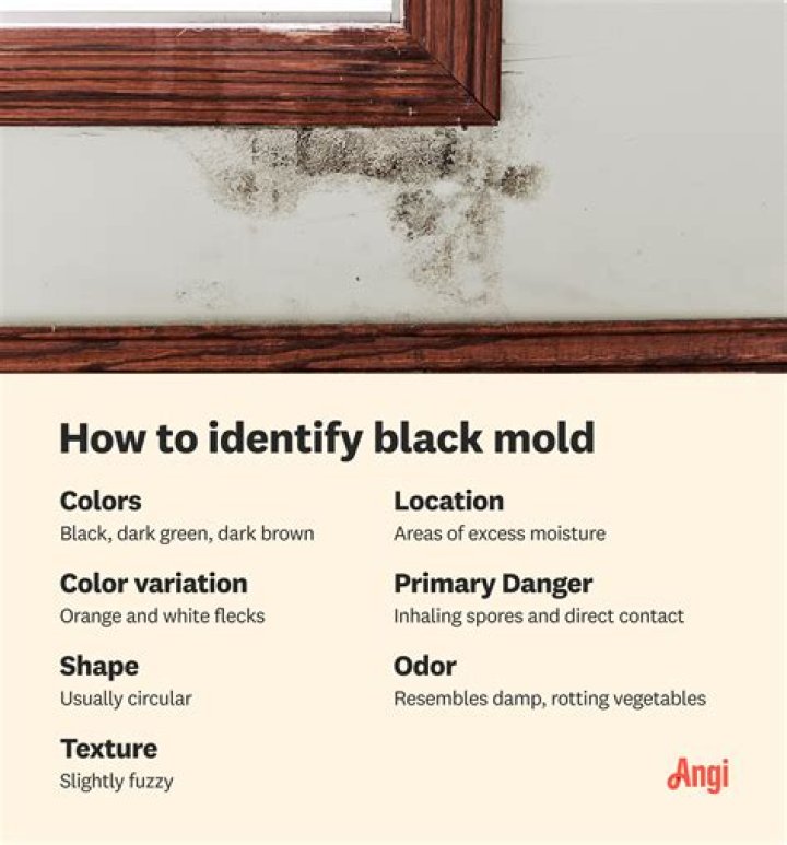 Does black mold move?