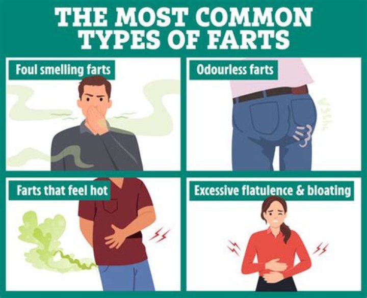 Does everyone fart?