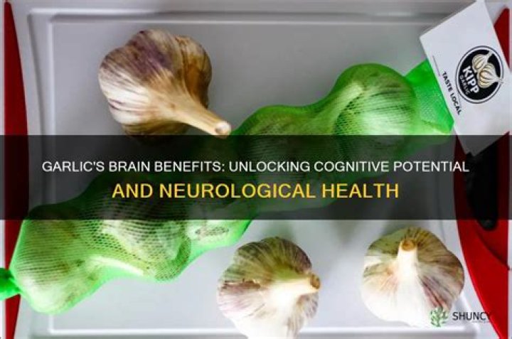 Does garlic affect the brain?