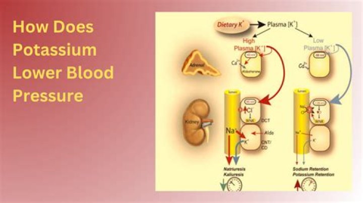 Does honey lower blood pressure?
