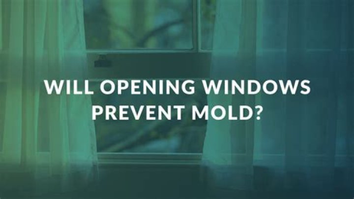 Does opening windows prevent mold?