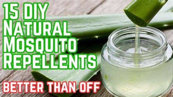 Does peppermint lotion keep mosquitoes away?