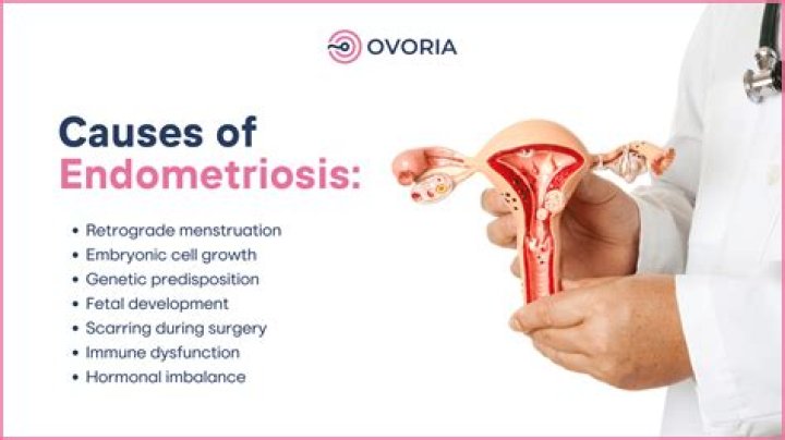 Does progesterone feed endometriosis?