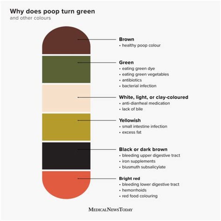 Does turmeric make poop?