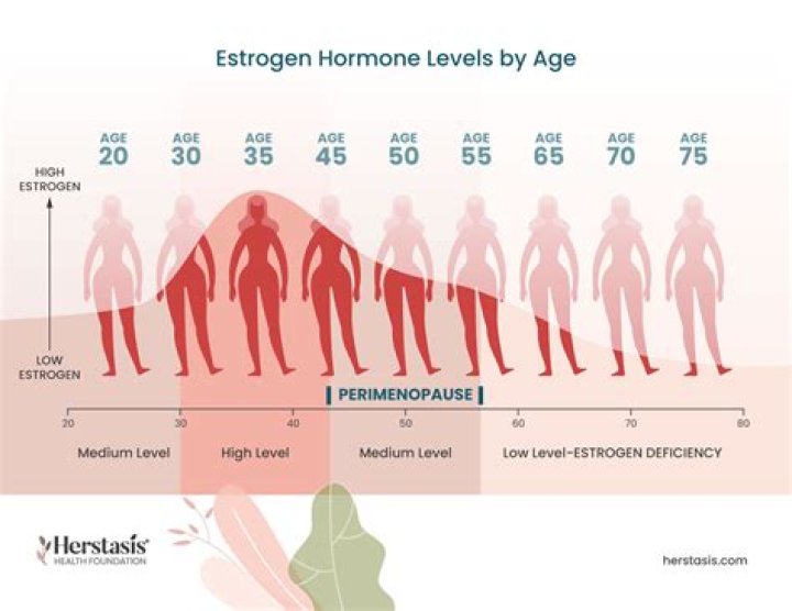 Does zinc affect estrogen levels?