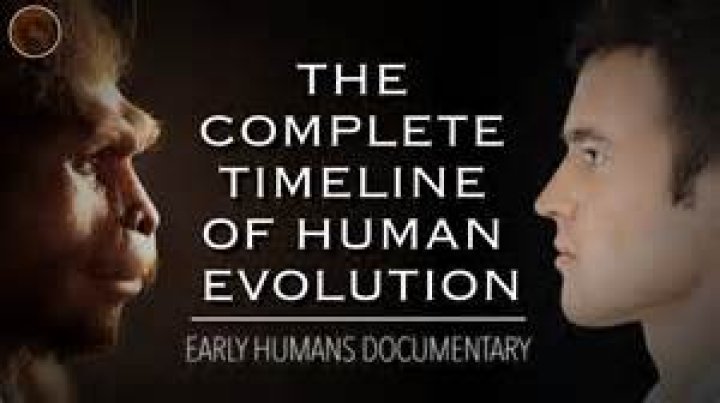How did early humans find mates?