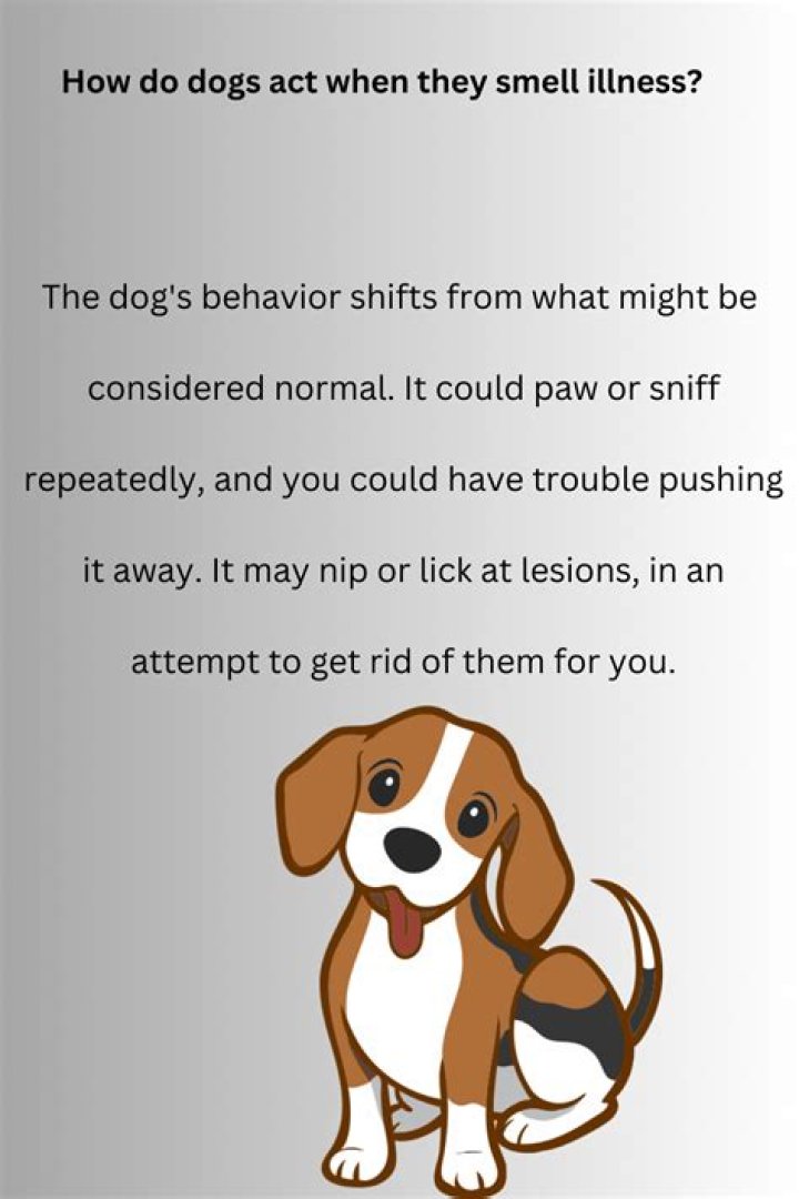 How do dogs act when they smell illness?