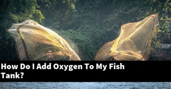 How do I add oxygen to my fish tank?