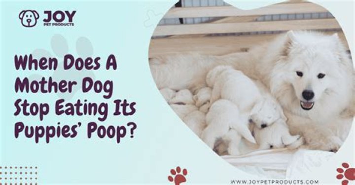 How do I get my mother dog to stop crushing her puppies?