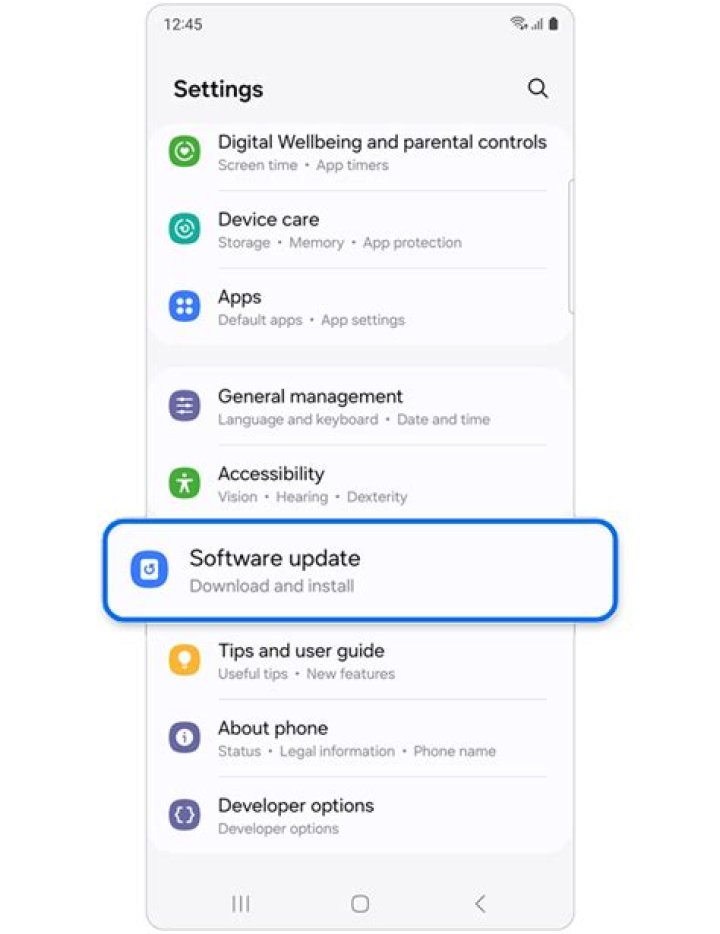 How do I update my phone's firmware?
