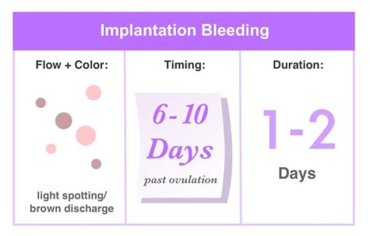 How do Muslims purify after periods?