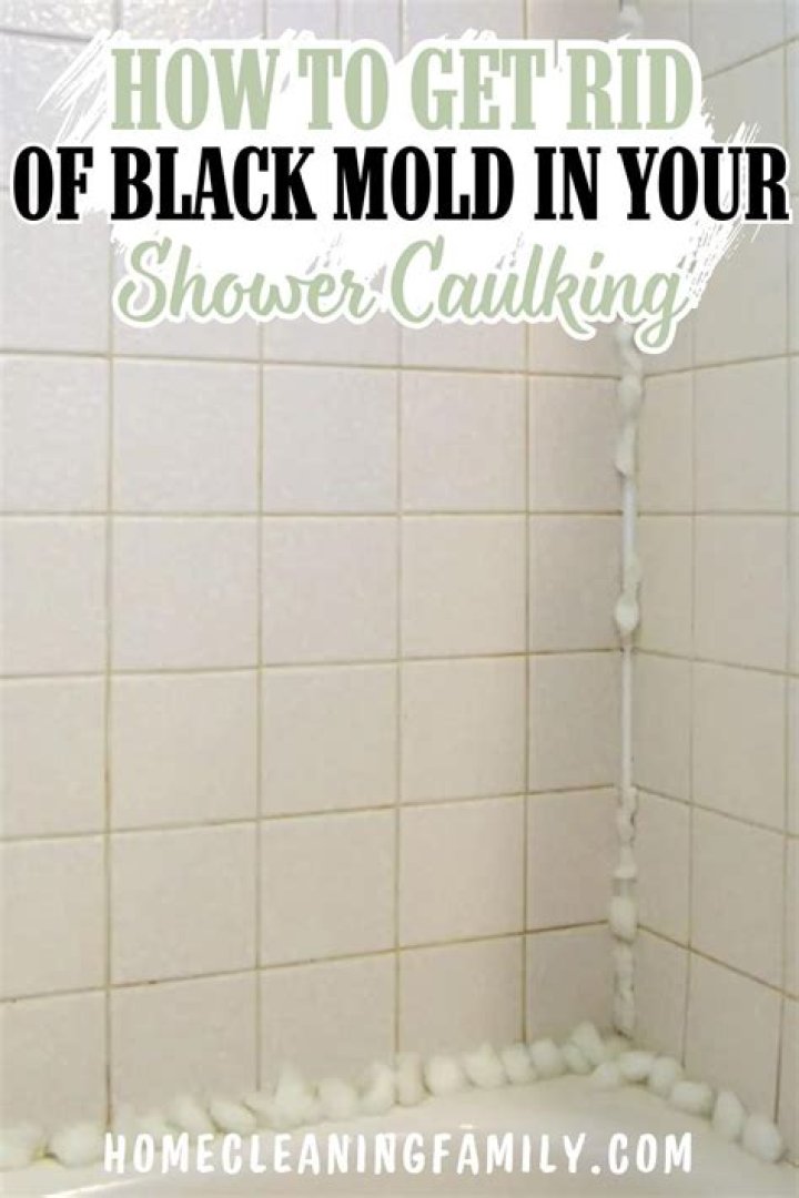 How do you get mold out of shower grout?