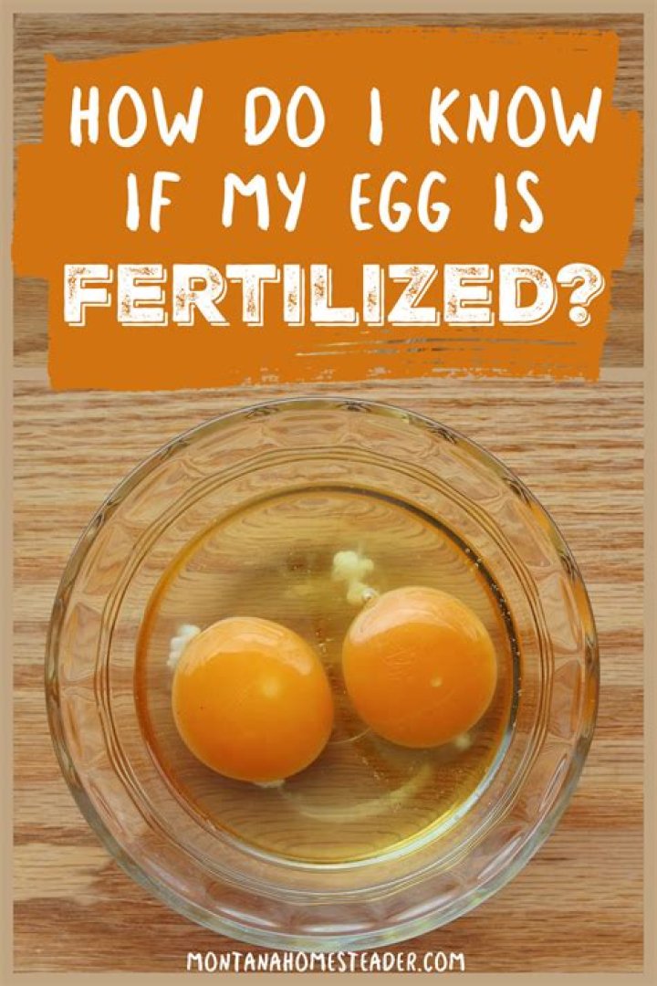 How do you know if you are sensitive to eggs?