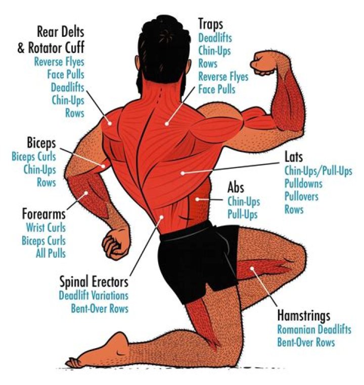 How does a pulled muscle feel?