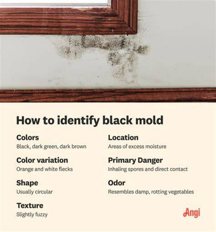 How does vinegar get rid of black mold?