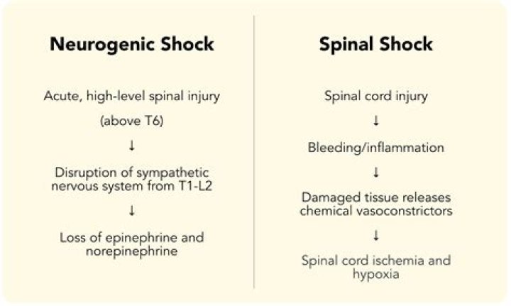 How long did shell shock last?