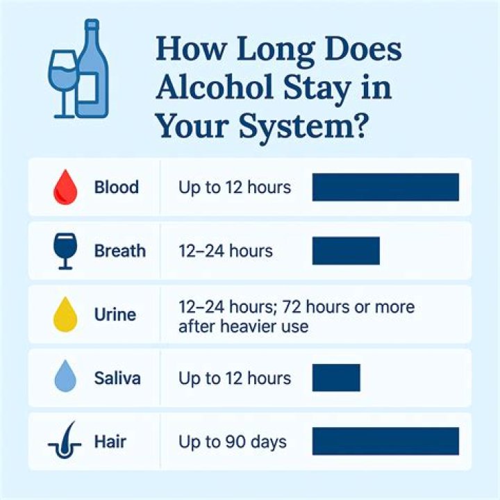 How long does it take for your liver to get rid of alcohol?