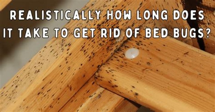 How long does it take to get rid of bed bugs?