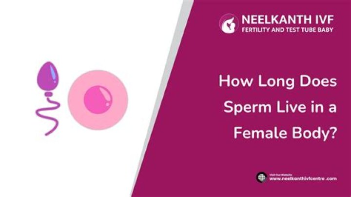 How long does sperm stay alive in a female dog?
