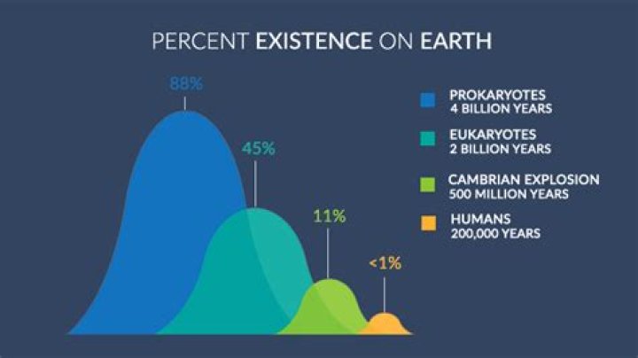 How long has Earth existed?